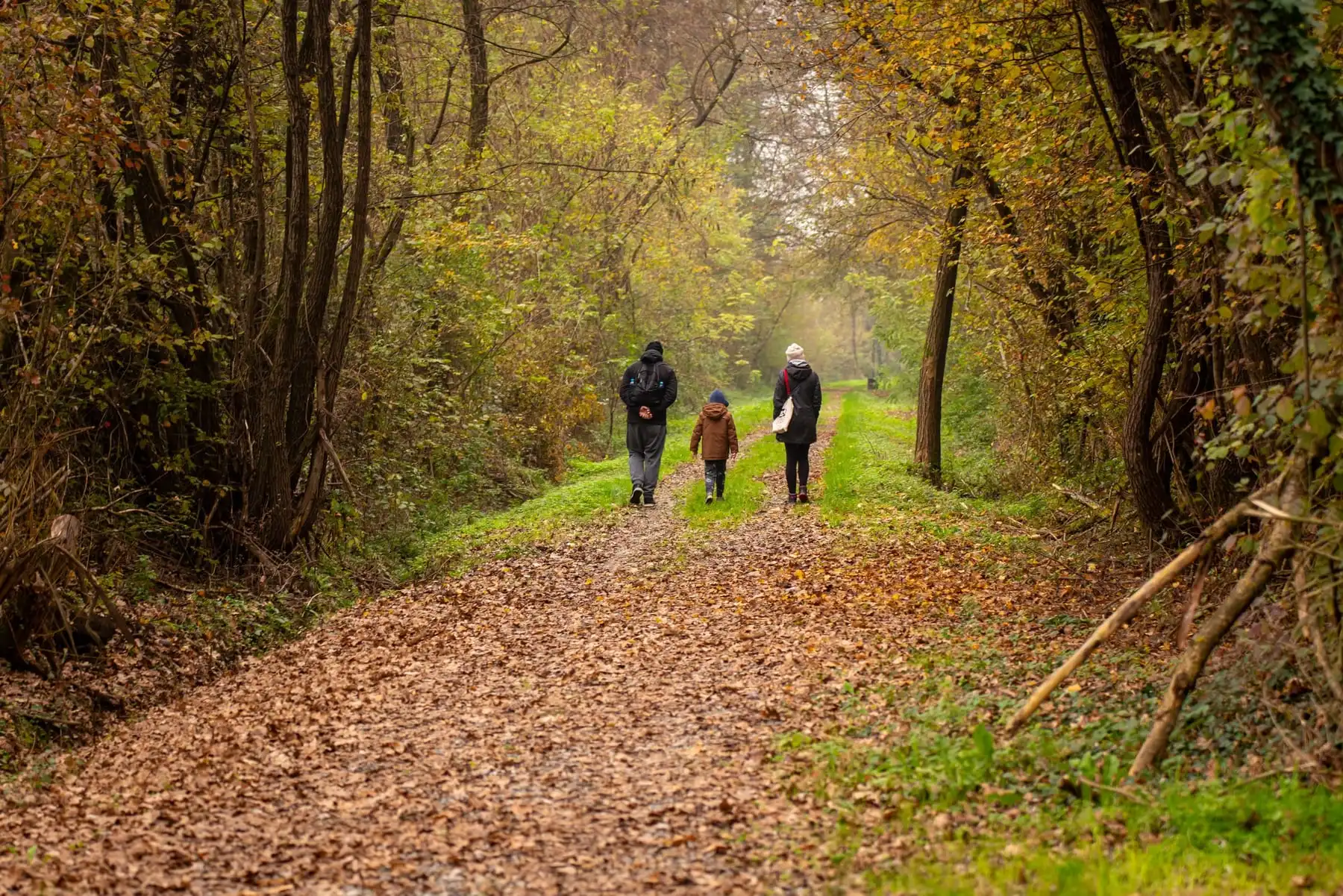 A family walking together down a leaf-covered path through autumn woods